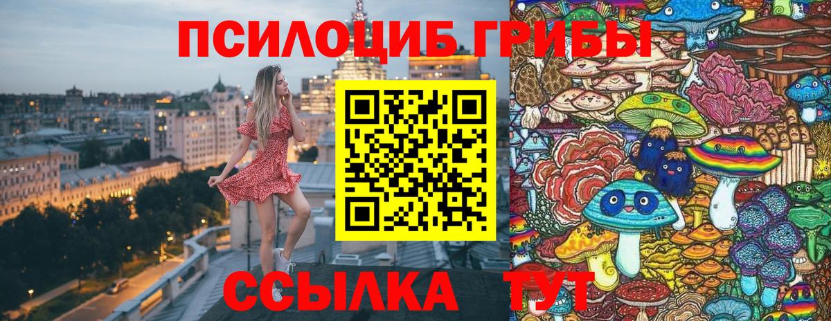 Заводоуковск  Псилоцибиновые грибы Magic Shrooms  Псилоцибиновые грибы мицелий  Вход с VPN 