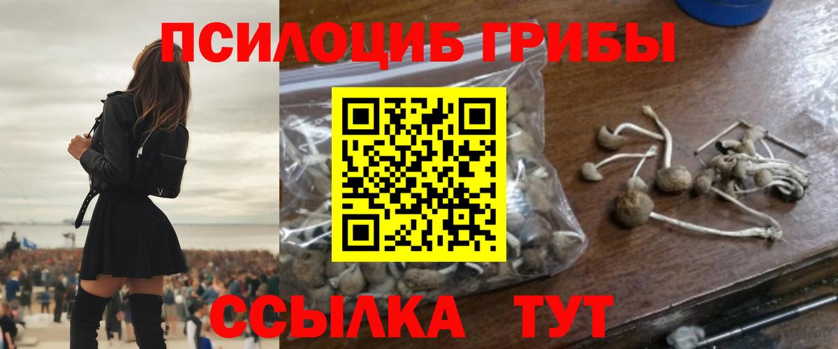Псилоцибиновые грибы GOLDEN TEACHER Заводоуковск